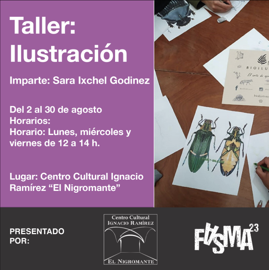 Imagen de Taller de ilustración. Imparte: Sara Ixchel Godinez